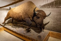 20180719_a6k_DSC07922