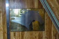 20190516_ZS40_P1060129-exp