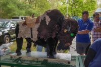 20190517_ZS40_P1060168-exp