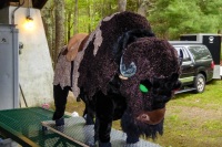 Ship's mascot, Bill the Bison